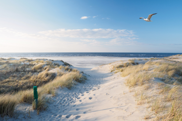 Uitvaart_Strand_Zandvoort_1.jpg