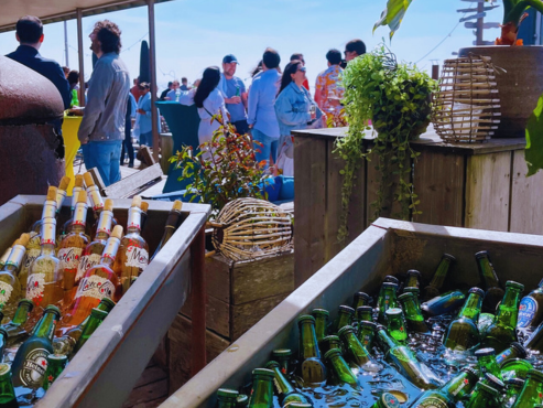 beach_party_zandvoort.png